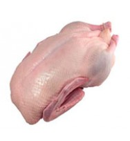 DUCK WHOLE 